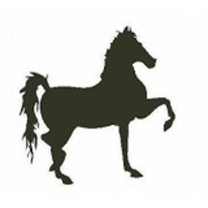 Encaustic Art stempel - paard